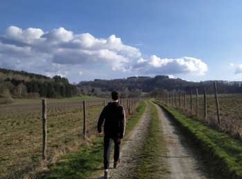 Trail On foot Vresse-sur-Semois - Roche de Saloru - Photo