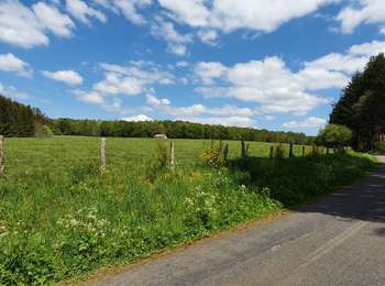 Trail On foot Paliseul - Maissin : des Ponts Stez Marie et de la Justice - Photo