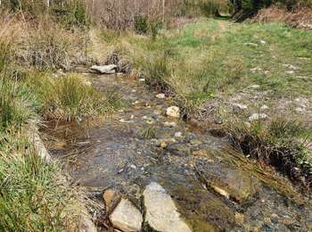 Randonnée A pied Bouillon - Promenade du Château-le-Duc - Photo