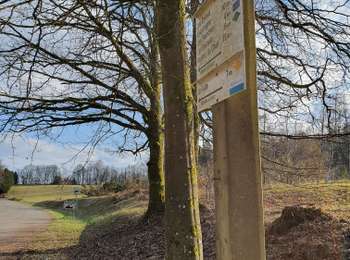 Trail On foot Herbeumont - Les Fourches - Photo