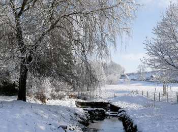 Randonnée A pied Modave - Circuit de Linchet - Photo