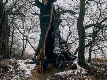 Tocht Te voet Marchin - Bois de Sandron - Photo