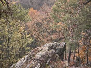 Trail On foot Nandrin - Promenade de la Rochette - Photo
