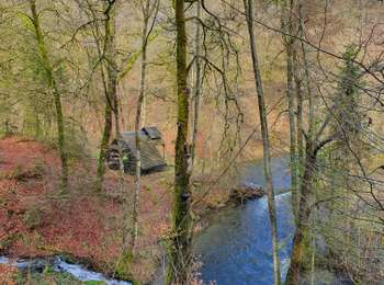 Trail On foot Bouillon - AU FIL DE L'EAU DES ALEINES       ALISNA asbl - Photo