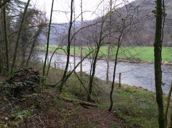 Randonnée A pied Bouillon - Les Crêtes de Frahan - Photo