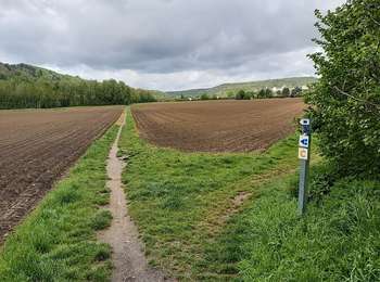 Tour Mountainbike Andenne - Echappée du Château - Photo
