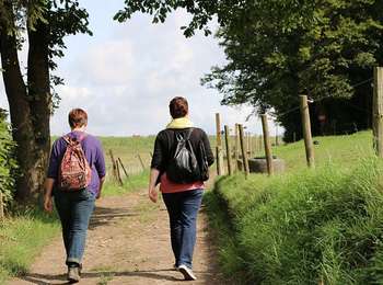 Tour Zu Fuß Andenne - Trou perdu - Photo