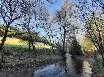 Tour Zu Fuß Bastnach - La Betlange - Photo