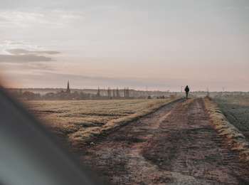 Tour Zu Fuß Ham-sur-Heure-Nalinnes - Promenade des Hauts de Nalinnes - Photo