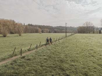Tour Zu Fuß Ham-sur-Heure-Nalinnes - Promenade de Cour-sur-Heure - Photo