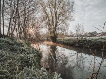 Tour Zu Fuß Ham-sur-Heure-Nalinnes - Promenade de Ham-sur-Heure - Photo