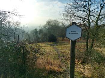 Randonnée A pied Hastière - Le Côré Monseu - Photo
