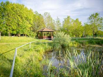 Percorso A piedi Arlon - Arboretum - Photo