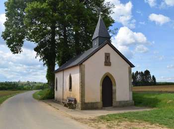 Percorso A piedi Arlon - Waltzing-Eischen - Photo
