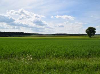 Percorso A piedi Arlon - Sesselich-Wolkrange - Photo