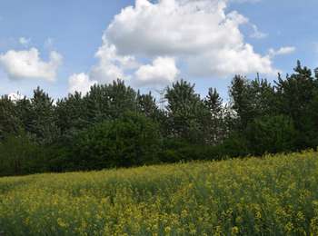 Percorso A piedi Arlon - Udange - Photo