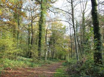 Trail On foot Aubange - Le Joli Bois à Athus - Photo