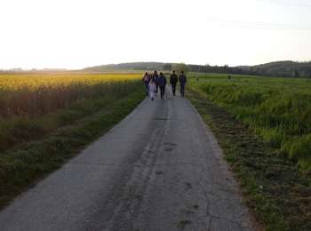 Trail On foot Attert - Post pour tous - Photo