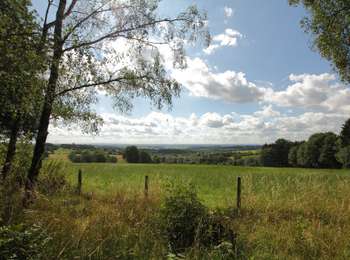 Trail On foot Fléron - Wak : Fléron - Promenade du Fond du Pucet - Photo