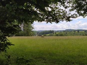 Randonnée A pied Gedinne - La Croix du Garde - Photo