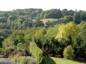 Trail On foot Fléron - Walk : Romsée (Fléron) : Promenade Le Bouny - Photo