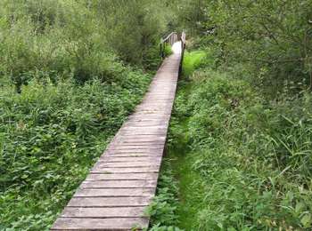 Tocht Te voet Daverdisse - Promenade  du Grinchi  P5 - Photo