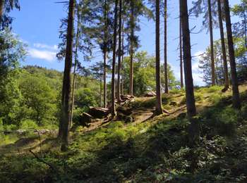 Trail On foot Paliseul - Maissin : Les Chafté-Louis - Photo