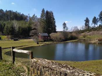 Trail On foot Paliseul - Fays-les-Veneurs : Aux moulins de Pont le Prêtre - Photo