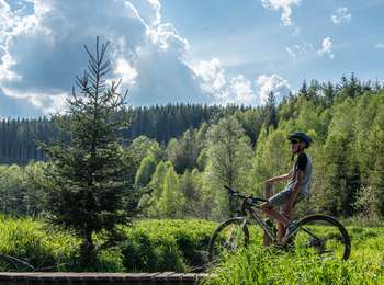Randonnée V.T.T. Gouvy - VTT 3 - Photo