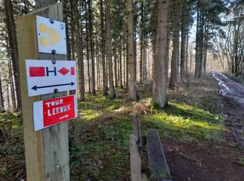 Percorso Mountainbike Trois-Ponts - Promenade cycliste VTT 3 - Photo