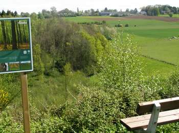 Tour Zu Fuß Havelange - Promenade du Bois d'Ossogne - Photo