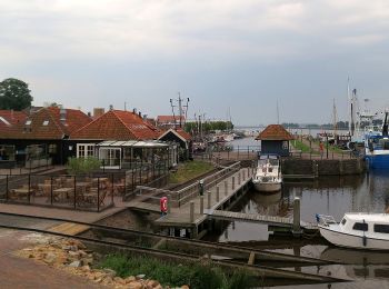 Trail On foot Het Hogeland - Groningen Loopt: De Marne 1 - Photo