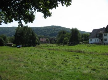 Randonnée A pied Fuldatal - Steinköhlerpfad - Photo