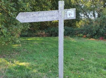 Tour Wandern Lacanau - Sentier de la Berle LACANAU - Photo