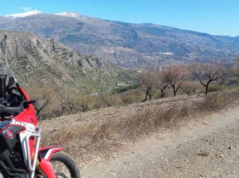 Randonnée Moto-cross Molvízar - Movizar   Pinos del Valle   Ruta Cabras - Photo