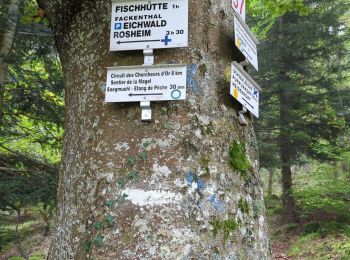 Trail Walking Rosheim - rando chercheurs d or  fischhutte - Photo