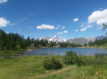 Tour Wandern Morgex - arpy . lac d arpy . arpy 2h50 - Photo