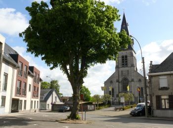 Tocht Te voet Sint-Lievens-Houtem - Natuurwandeling Vlierzele - Photo