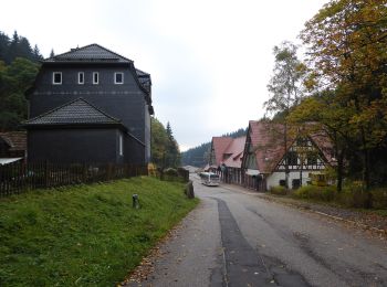 Excursión A pie Oberhof - Rennsteig-Leiter Zella-Mehlis - Photo