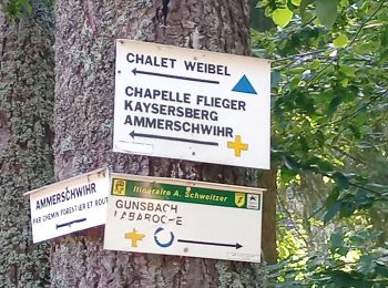 Tocht Stappen Kaysersberg-Vignoble - Aubure - Chalet Weibel (12/08/2021) - Photo