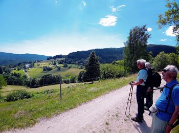 Trail Walking Aubure - Aubure  - Pierre des 3 bans (23/07/2020) - Photo