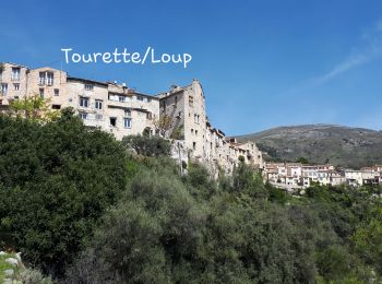 Tocht Stappen La Colle-sur-Loup - La colle sur Loup/Tourette  - Photo
