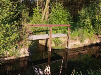 Tour Zu Fuß Brakel - Brakeler Bergland Nr. 4 - Photo