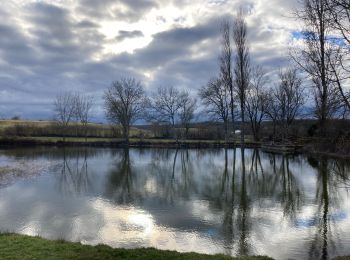 Tocht Stappen Aujols - Aujols lac de Fraysse  - Photo
