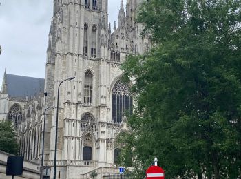 Trail Walking City of Brussels - Compostelle 1 : Bruxelles Cathédrale Saints Michel & Gudule - Uccle Calevoet - Photo