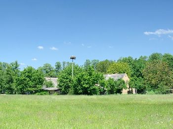 Tocht Te voet Burg (Spreewald) - Wanderweg gelber Balken - Photo