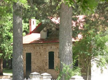 Tour Zu Fuß Taverna - (SI U17) Villaggio Buturo - Caporosa - Photo