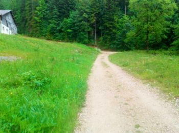 Trail Walking Le Locle - Marche 2019 - Colo - Photo