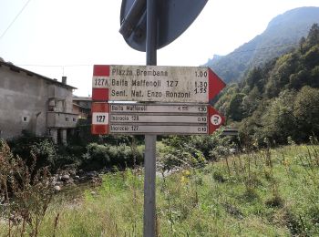 Percorso A piedi Olmo al Brembo - Sentiero 129: Olmo al Brembo - Roccolo di Calche - Photo