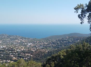 Tour Elektrofahrrad Bormes-les-Mimosas - la murene  - Photo